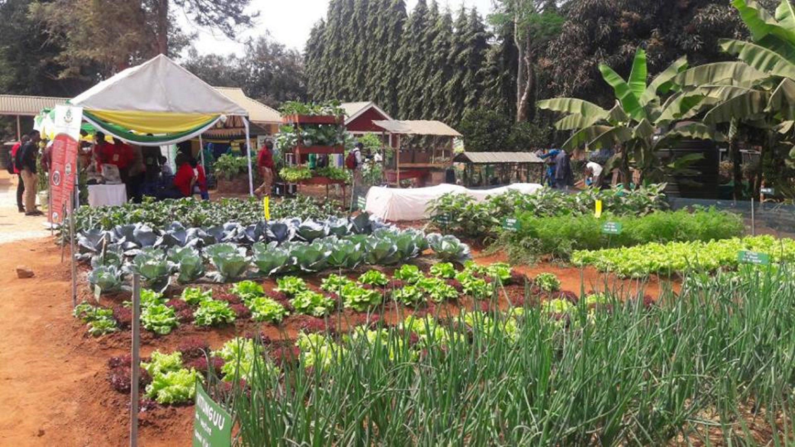 Nanenane2018 Department of crop science and horticulture farm