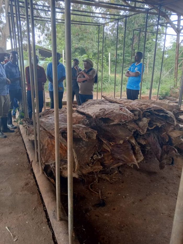 MSc. Tropical Animal Production Visited National Ranching Company Ltd